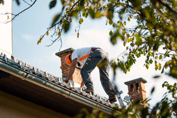 Roof Installation Near Me in Webster, SD