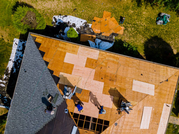 Best Storm Damage Roof Repair  in Webster, SD