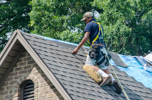 Best New Roof Installation  in Webster, SD